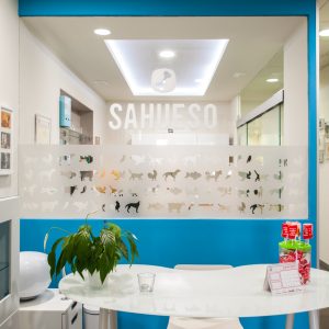 clinica veterinaria sahueso cita