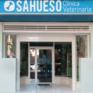 entrada sahueso